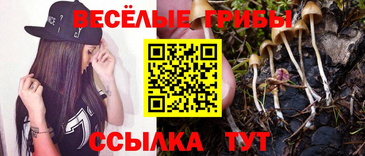 Псилоцибиновые грибы Magic Shrooms  Вход с VPN  Сочи 